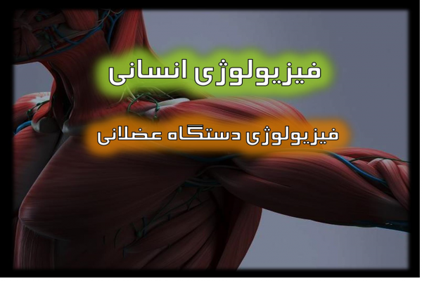 پاورپوینت فیزیولوژی دستگاه عضلانی انسان